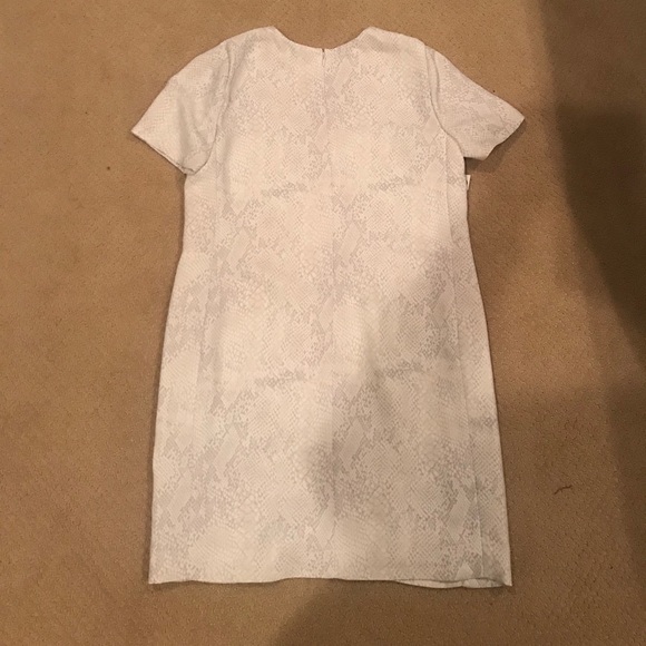 Babaton Patricio: T shirt dress - Picture 4 of 4